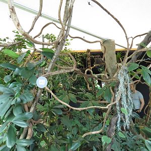 In with the spiders walkthrough, July 2015.