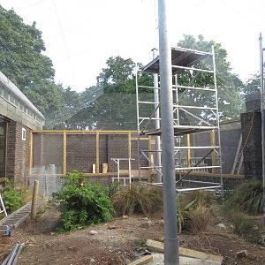 Construction work - Clore aviary?, July 2015.