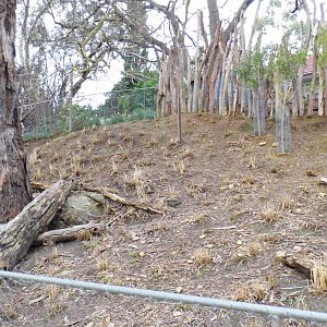 Gorge Willdlife Park