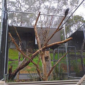 Gorge Willdlife Park