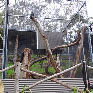 Gorge Willdlife Park