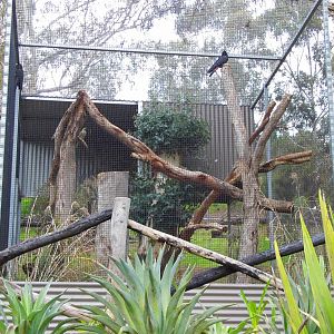 Gorge Willdlife Park