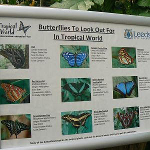 Butterfly House Signage