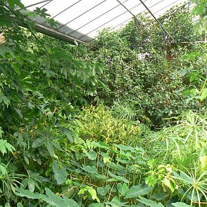 Butterfly House View