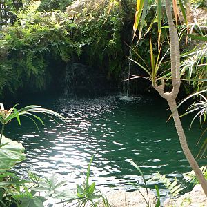 Butterfly House View