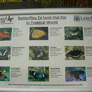Butterfly House Signage