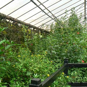 Butterfly House View