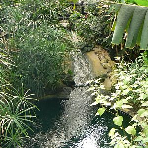 Butterfly House View