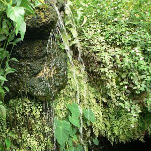 Butterfly House View