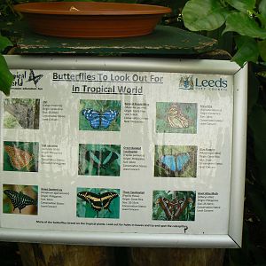 Butterfly House Signage