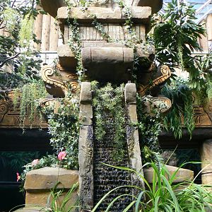 View Of Aquarium Centre Piece.