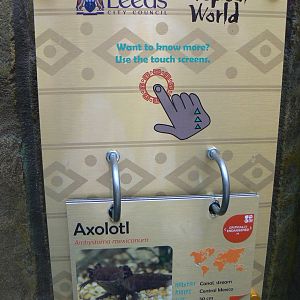 Aquarium Signage Example