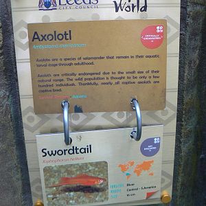 Aquarium Signage Example