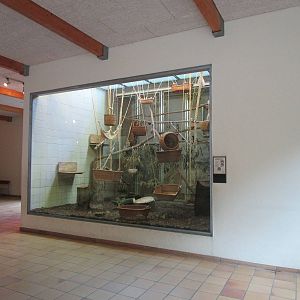 Monkey House interior - 6/7/15