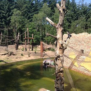 "De Grote Wildernis" (the big wilderness)