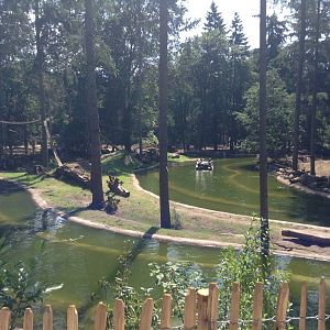 De Grote Wildernis (the big wilderness) Lemur Island