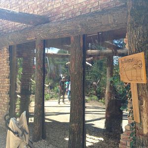 New night quarters for lemurs and Capuchins