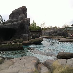 Saint Louis Zoo: Sea Lion Sound