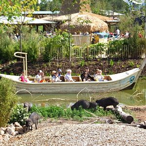 Islands Preview at Chester, 11/07/15