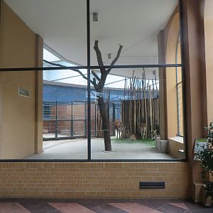 Antelope house - interior