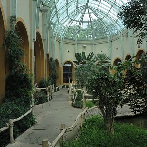 Antelope house - interior