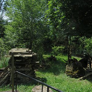 Polecat enclosure