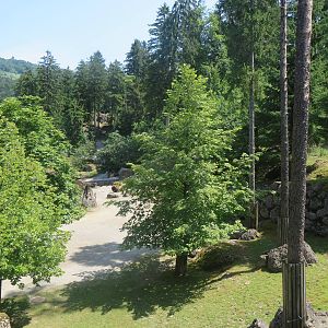 European bison enclosure