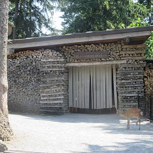 Pine marten enclosure
