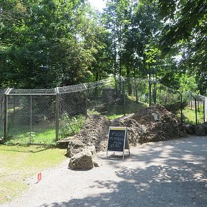 Fox and badger enclosure