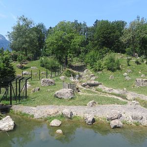 Wolf and bear enclosure