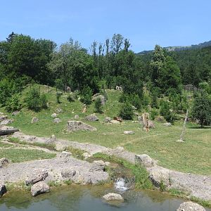Wolf and bear enclosure