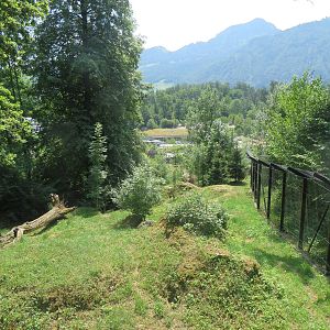 Wolf and bear enclosure