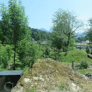 Wolf and bear enclosure