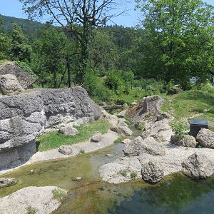 Wolf and bear enclosure