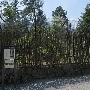 Wild cat enclosure