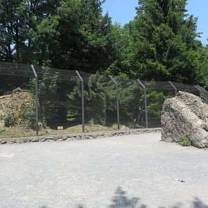 Lynx enclosure