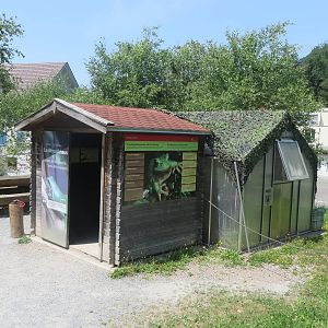 Tree frog breeding station