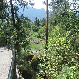 View to cormorant lake