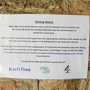 Blast! Filming Notice - 10/07/2015