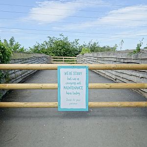 Canal Bridge - 10/07/2015