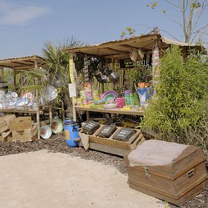 Islands on Foot - Coral Sands Stalls