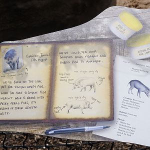 Islands on Foot - Warty Pig Sign