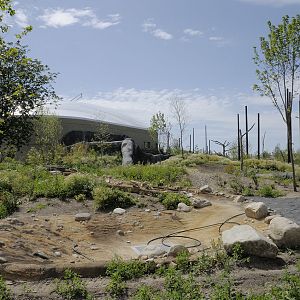 Islands on Foot - Babirusa pen under construction