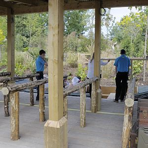 Islands by Boat - Boarding Jetty