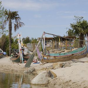 Islands by Boat - Coral Sands