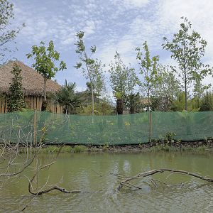 Islands by Boat - Second Cassowary Enclosure