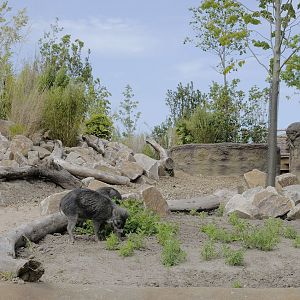 Islands by Boat - Second Warty Pig Beach