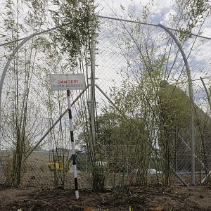 Islands by Boat - Tiger Enclosure under construction