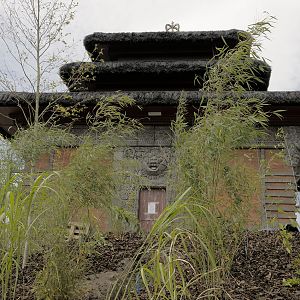 Islands by Boat - Bali Aviary