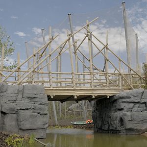 Islands by Boat - the Lantern Bridge